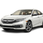 Gemini_Generated_Image_1gv8q91gv8q91gv8-removebg-preview