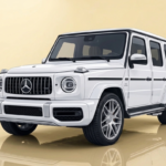 Gemini_Generated_Image_qrc827qrc827qrc8